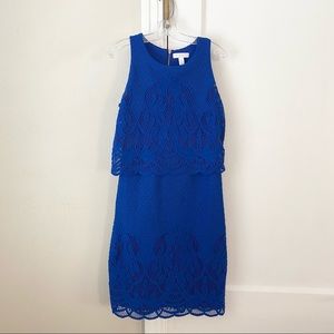 Charter Club | Cobalt Blue Lace Dress
